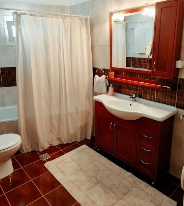 Evaggelia'S Apartments 5 Οικογενειακό Διαμέρισμα Kozani Luaran gambar